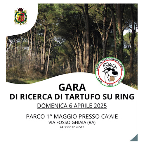 Gara di ricerca tartufo in ring Fosso Ghiaia