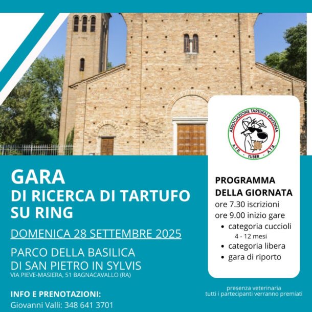 Gara ricerca tartufo su ring Gara ricerca tartufo su ring Bagnacavallo